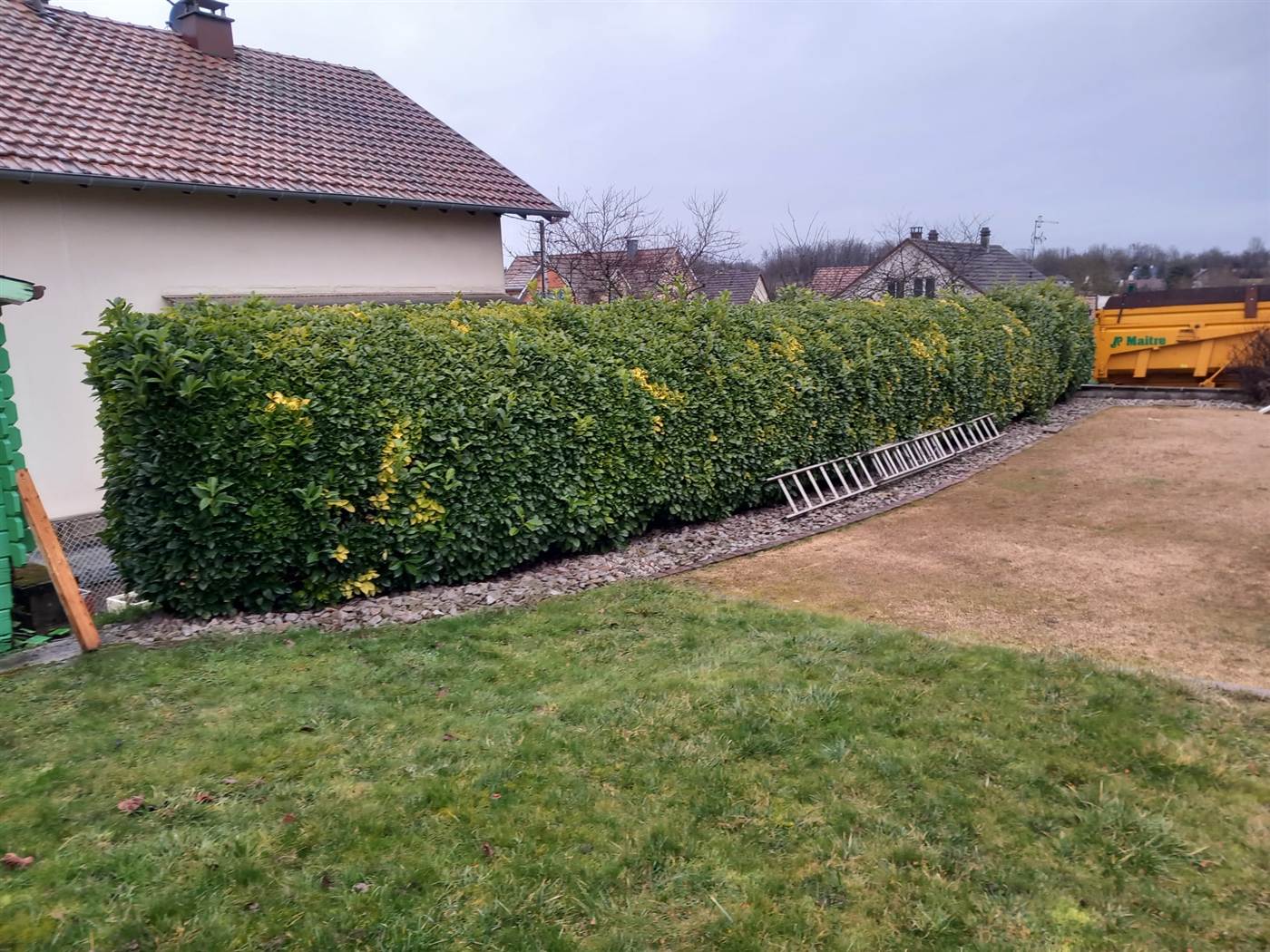 Haie taillée dans le cadre d'un aménagement paysager par Kréa Concept dans le Haut-Rhin