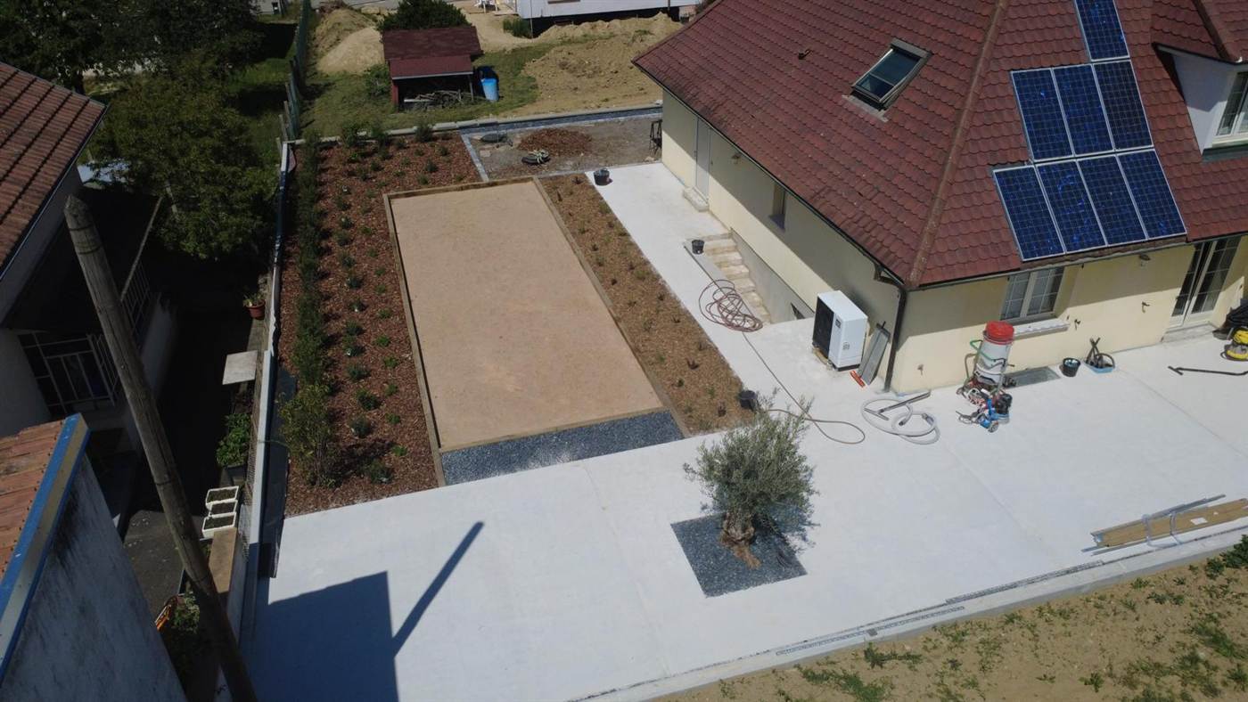 Olivier planté en terrasse, aménagement paysager par Kréa Concept dans le Haut-Rhin